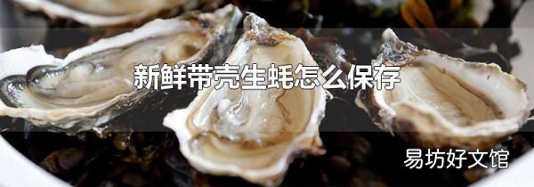 新鲜带壳生蚝怎么保存