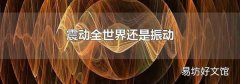 震动全世界还是振动