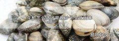 花蛤怎么洗才能把沙子全吐出来