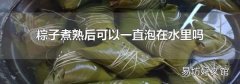 粽子煮熟后可以一直泡在水里吗
