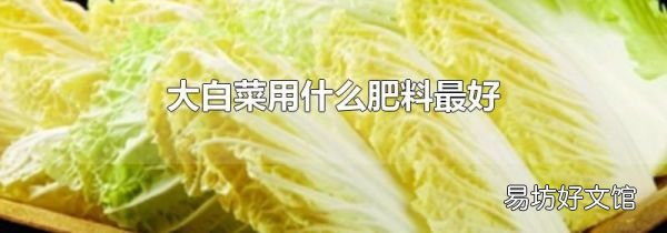 大白菜用什么肥料最好