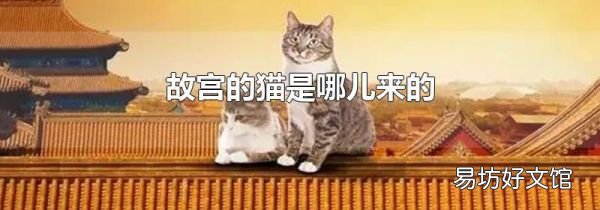 故宫的猫是哪儿来的