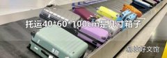 托运40*60*100cm是几寸箱子