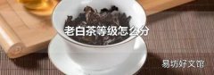 老白茶等级怎么分