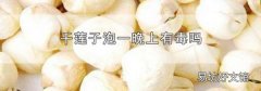 干莲子泡一晚上有毒吗