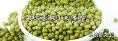绿豆浸泡发芽了还能吃吗