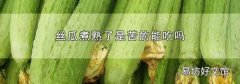丝瓜煮熟了是苦的能吃吗
