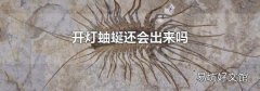 开灯蚰蜒还会出来吗