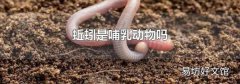 蚯蚓是哺乳动物吗