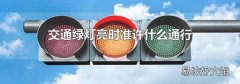 交通绿灯亮时准许什么通行