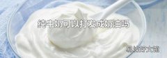 純牛奶可以打發(fā)成奶油嗎