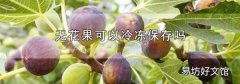 無(wú)花果可以冷凍保存嗎
