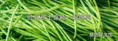 豇豆和土豆能一起吃吗