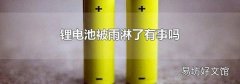 锂电池被雨淋了有事吗