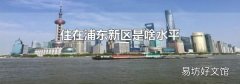 住在浦东新区是啥水平