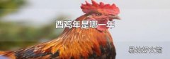 酉鸡年是哪一年