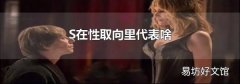 S在性取向里代表啥