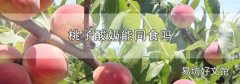 桃子酸奶能同食吗