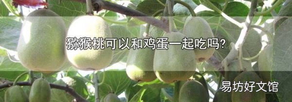 猕猴桃可以和鸡蛋一起吃吗?