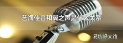 艺海佳音和翼之声是什么关系
