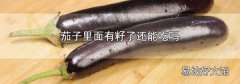 茄子里面有籽了还能吃吗
