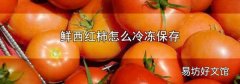 鲜西红柿怎么冷冻保存