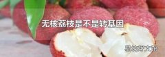 无核荔枝是不是转基因