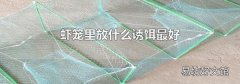 虾笼里放什么诱饵最好