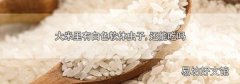 大米里有白色软体虫子,还能吃吗