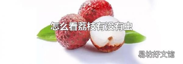 怎么看荔枝有没有虫