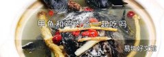 甲鱼和鸡肉能一起吃吗