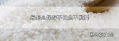 米怎么保存不长虫不发霉