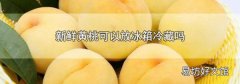 新鲜黄桃可以放冰箱冷藏吗