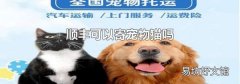 顺丰可以寄宠物猫吗