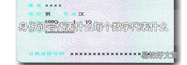 身份证号代表什么每个数字代表什么