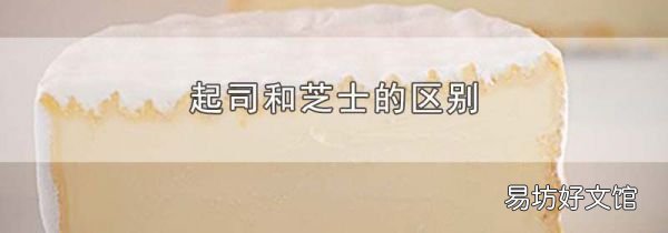 起司和芝士的区别