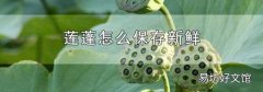 莲蓬怎么保存新鲜