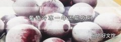 葡萄冷冻一年还能吃吗