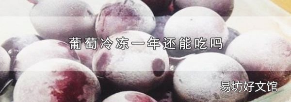 葡萄冷冻一年还能吃吗