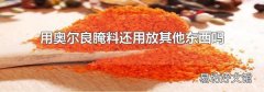 用奥尔良腌料还用放其他东西吗