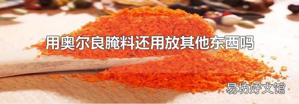 用奥尔良腌料还用放其他东西吗