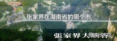 张家界在湖南省的哪个市