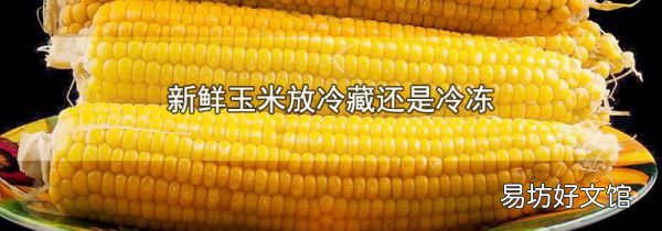 新鲜玉米放冷藏还是冷冻