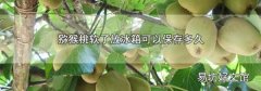 猕猴桃软了放冰箱可以保存多久