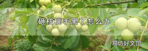 砸核桃手黑了怎么办