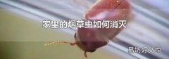 家里的烟草虫如何消灭