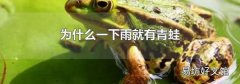 为什么一下雨就有青蛙
