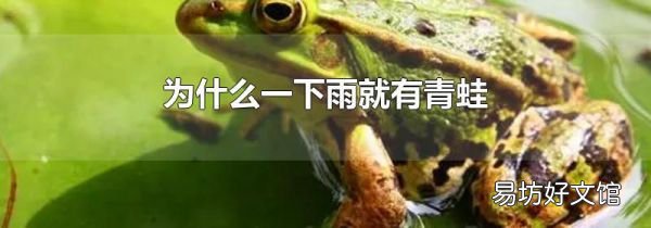 为什么一下雨就有青蛙