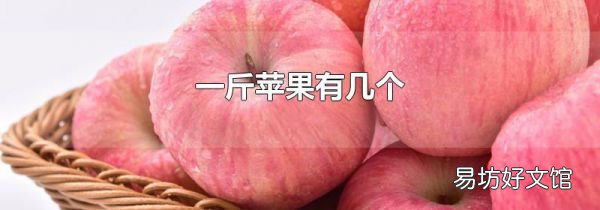 一斤苹果有几个