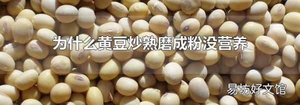 为什么黄豆炒熟磨成粉没营养